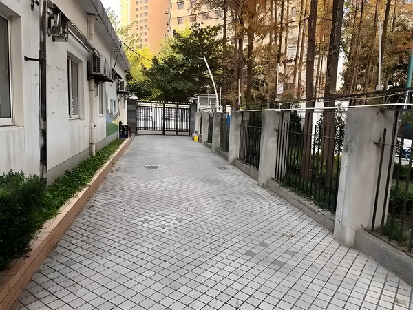 深圳哪些职称可以入深户_可以！杜兰特美女主持人婚礼，带球突破绯闻，再凭实力单身！ 日则德国电视台8新闻说